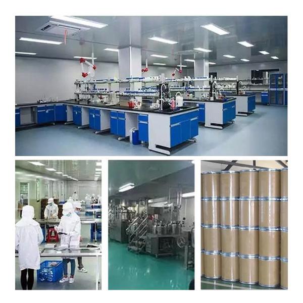 중국 Shaanxi Baisifu Biological Engineering Co., Ltd. 회사 프로필