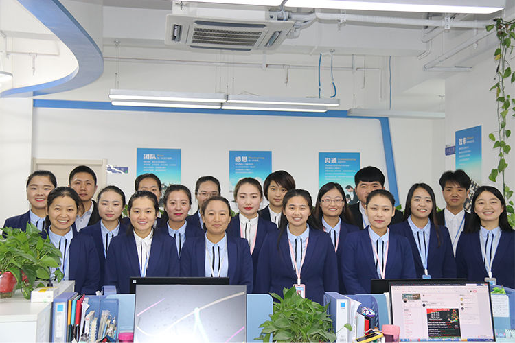 중국 Shaanxi Baisifu Biological Engineering Co., Ltd. 회사 프로필