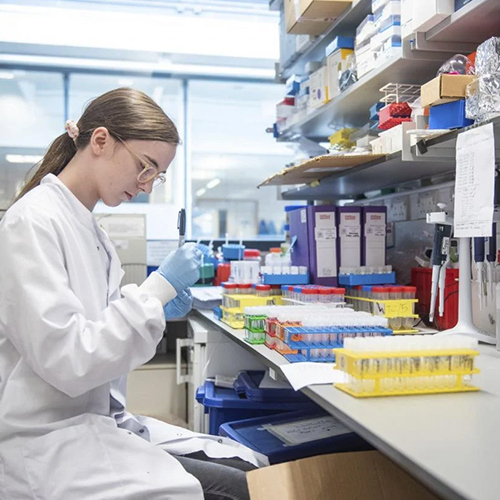 Shaanxi Baisifu Biological Engineering Co., Ltd. 공장 생산 라인