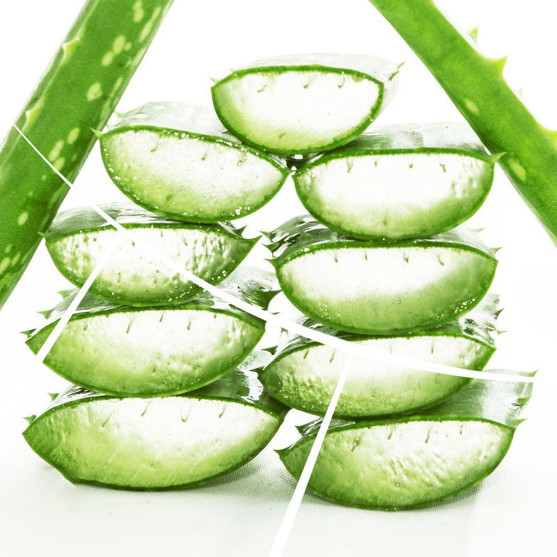 Shaanxi Baisfu natural Highly Concentrated 99% White fine Powder Aloe Vera Gel Freeze-dried Powder CAS NO: 85507-69-3 Food Grade for cosmetic and health care products