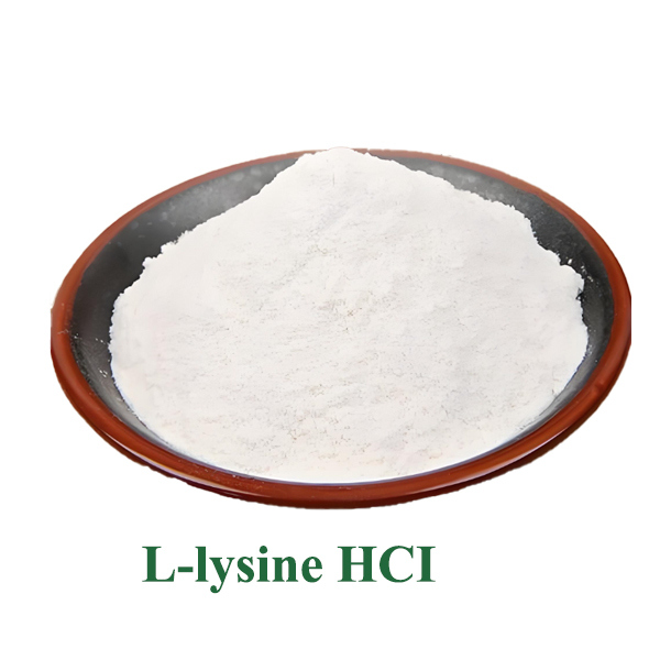 Baisifu 99% L-Lysine Hydrochloride Food Additive Nutritional Fortifier