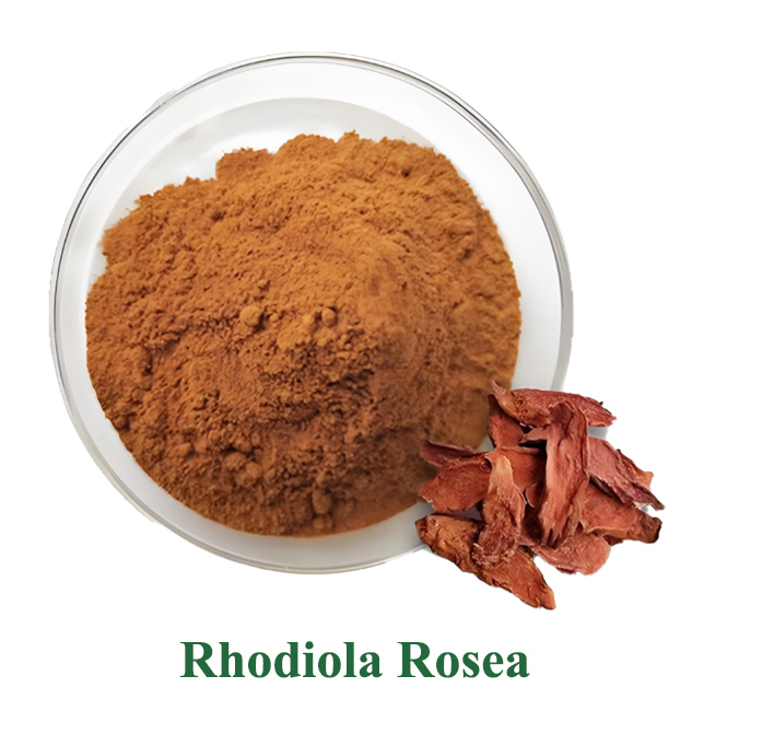 Factory direct sales of Rhodiola rosea extract. CAS: 97404-52-9