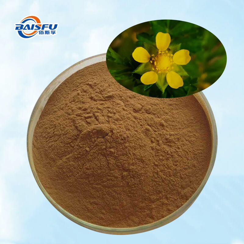 Baisfu pure natural Cinquefoil Herb.P.E best quality brown yellow fine powder For cosmetic and Health supplements