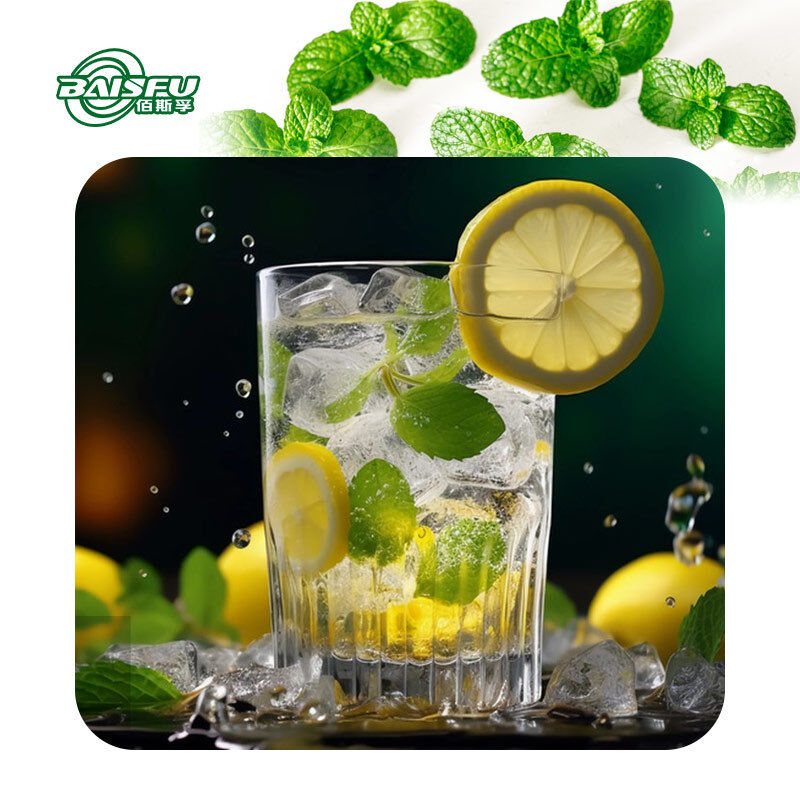 Baisfu Pure Natural L-Menthyl Lactate CAS:59259-38-0 Food Grade  High Concentration Food Flavor White Crystalline Powder for Baked Goods and Cosmetics