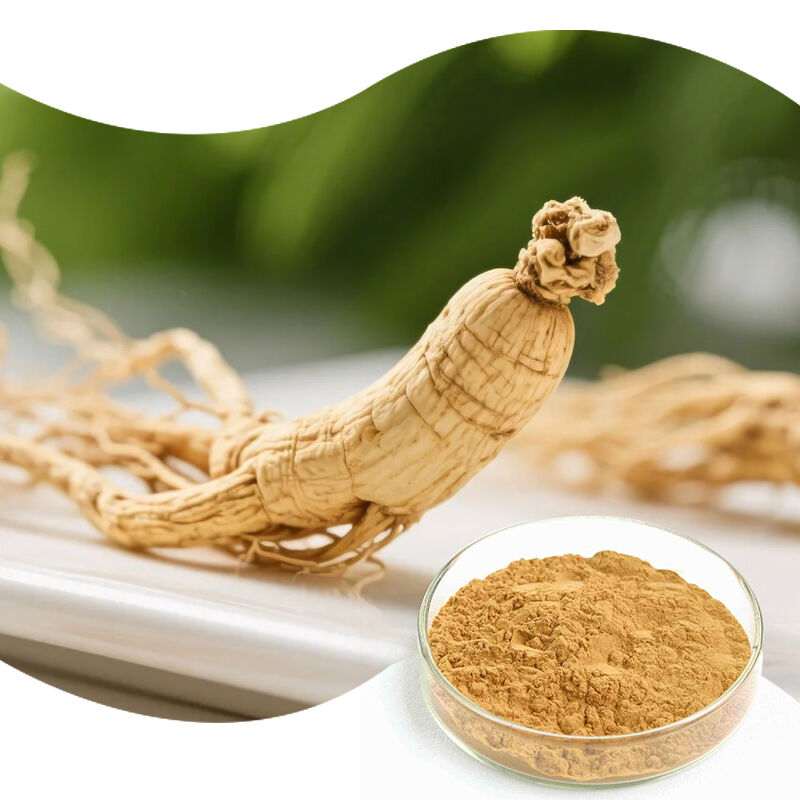 Baisfu Factory Sales Ginseng Extract Water-Soluble Light Yellow Fine Powder Ginsenosides for Health Supplements and Functional Foods
