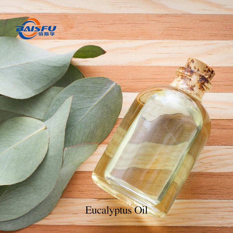 Eucalyptus Oil Has a Fresh, Cooling Aroma and Is Used in Aromatherapy
