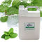 98% L-모노멘틸 글루타라트 CAS 220621-22-7 식품 음료 화장품 피부 관리